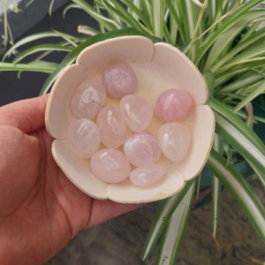 Quartz Rose — Amour Inconditionnel, Apaisement & Tendresse