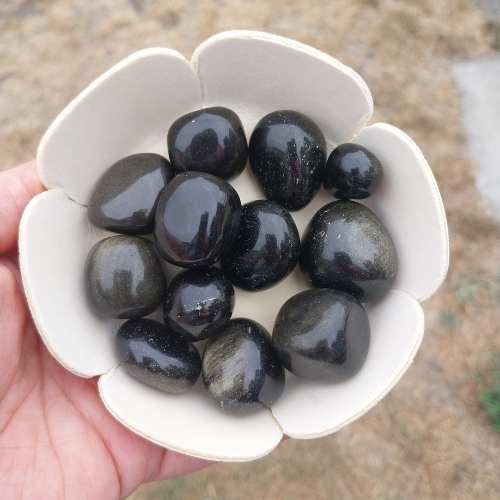 Obsidienne Dorée — Protection Supérieure, Lumière Intérieure & Clarification de l'Ombre