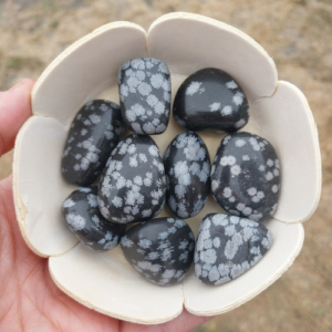 Obsidienne Flocon de Neige — Équilibre, Ancrage & Sérénité Intérieure